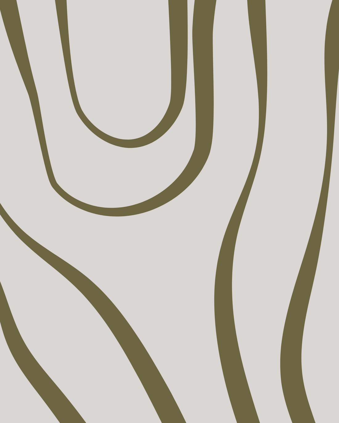 From the Roots: The Origin of Wildwood & Hearth